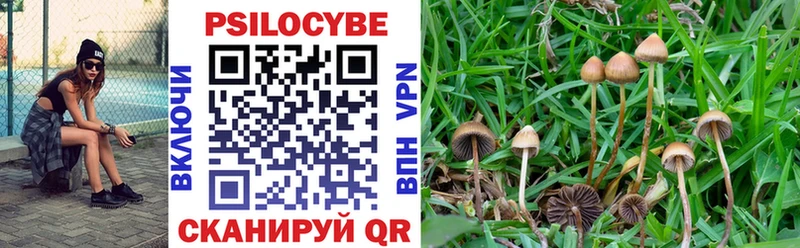 kraken как зайти  наркота  Вельск  Галлюциногенные грибы MAGIC MUSHROOMS 